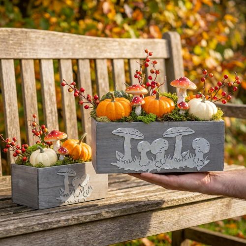 Caja de madera set seta venenosa, decoraciones de otoño, decoraciones de jardín, cajas de plantas L40 / 30cm, juego de 2 | Floristik24.es