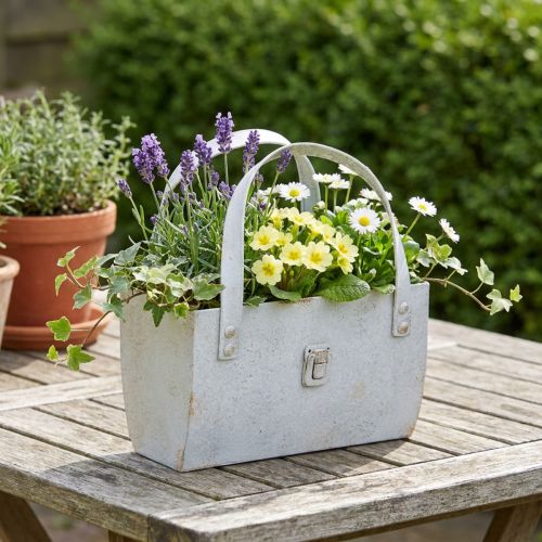 Bolsa de metal Macetera moderna y decoración para uso interior y exterior, 28 cm | Floristik24.es
