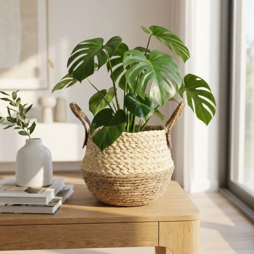 Cesta de junco marino bicolor con asas - Cesta para almacenar y plantar - Natural y marrón Ø25 cm H24 cm | Floristik24.es