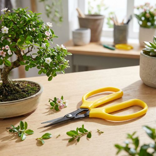Tijeras para bonsái y pinzas Oasis 15,5 cm | Floristik24.es