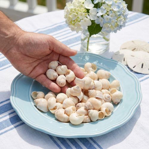 Mejillón Umachi 500g | Floristik24.es