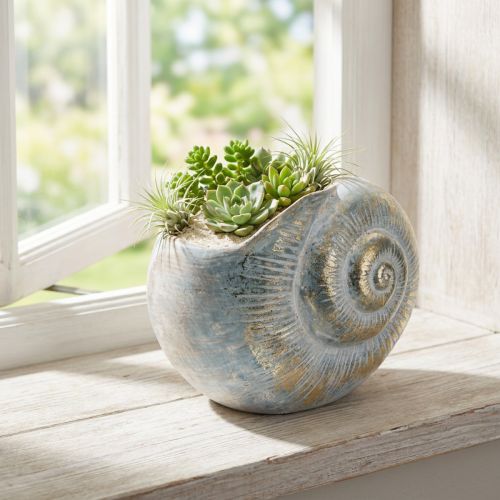 Artículo Contenedor decorativo en forma de caracol para diseño de pared marítimo y natural, gris, 21 cm