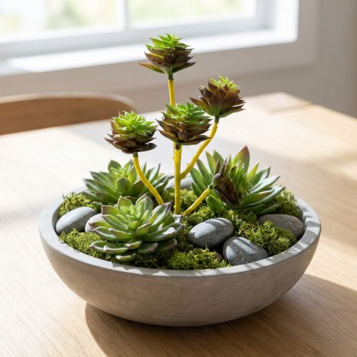 Selección suculenta verde / marrón 35.5cm | Floristik24.es
