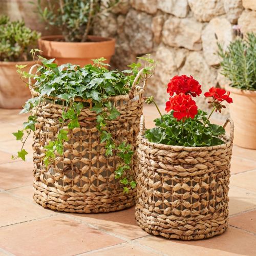 Juego de 2 cestas para plantas de algas marinas y jacinto de agua Ø31/26cm - cesta decorativa, cesta para flores, almacenamiento, ecológica, natural | Floristik24.es