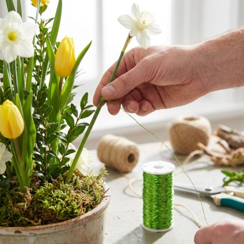 Alambre efecto caldo decoración Ø0,30mm 100g 140m verde manzana alambre floristería alambre artesanía | Floristik24.es