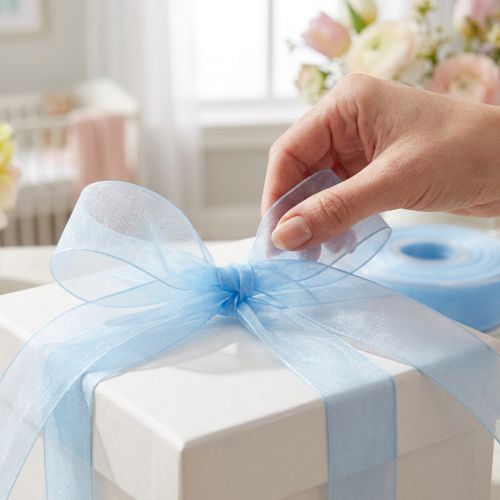 Cinta de organza cinta de regalo cinta azul claro orillo azul 25mm 50m | Floristik24.es