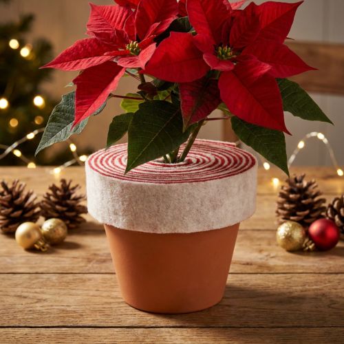 Artículo Bisagra para maceta bicolor hecha de 100% lana como cinta decorativa de fieltro, blanco/rojo, 7,5 cm de ancho, 5 m de largo.