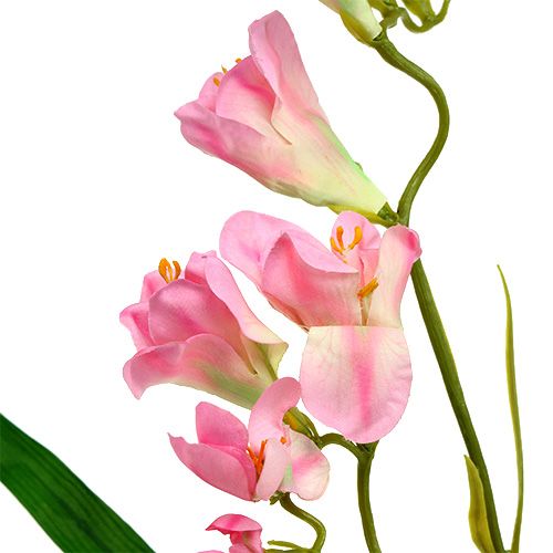 Floristik24 Fresia 56cm Rosa 4pcs