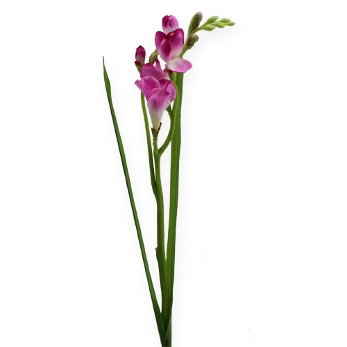 Art Flower Fresien 56cm 3 piezas.