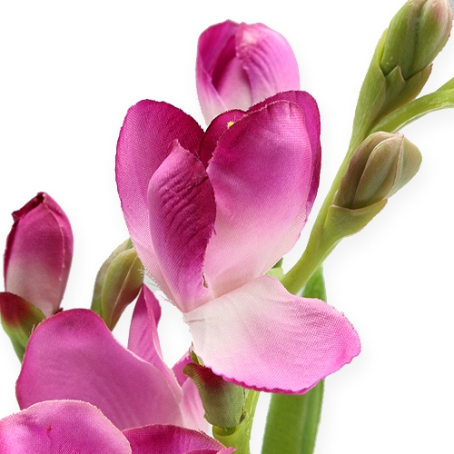 Floristik24 Art Flower Fresien 56cm 3 piezas.