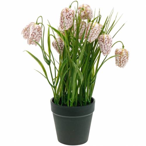 Floristik24 Flor de tablero de ajedrez artificial en maceta, flor de primavera fritillaria, flor de seda rojo blanco