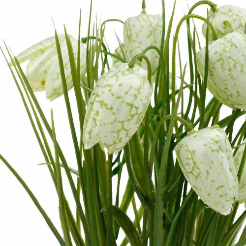 Floristik24 Fritillaria en maceta, flor de tablero de ajedrez verde y blanco, flor artificial