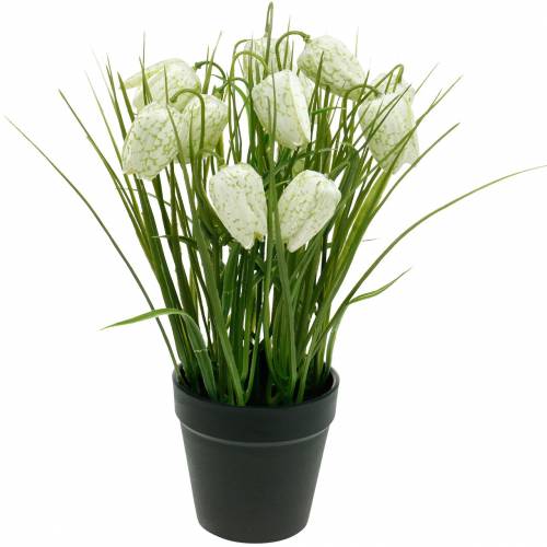 Floristik24 Fritillaria en maceta, flor de tablero de ajedrez verde y blanco, flor artificial