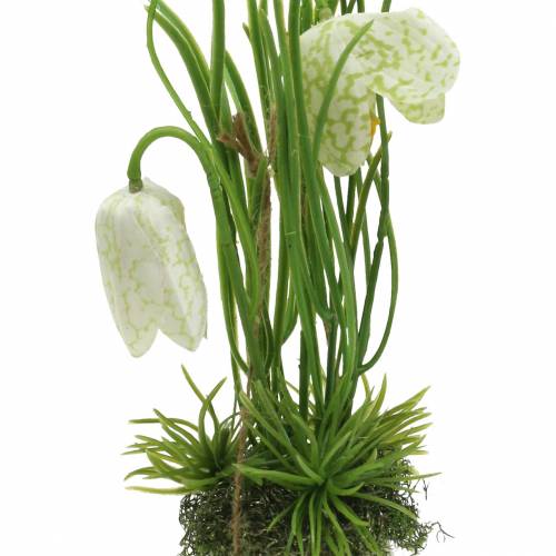 Artículo Fritilaria en cáscara de huevo para colgar artificialmente verde, blanco 25cm