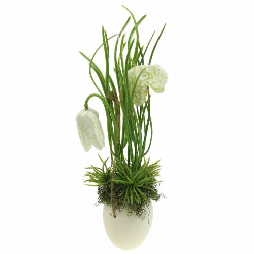 Floristik24 Fritilaria en cáscara de huevo para colgar artificialmente verde, blanco 25cm