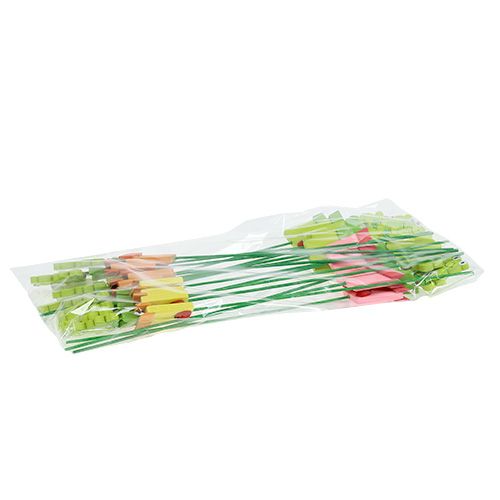 Floristik24 Rana en maceta surtida. 9cm L28cm 16 piezas