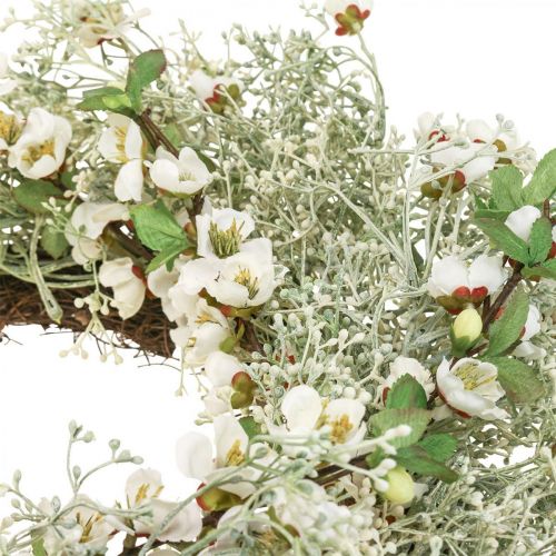 Floristik24 Corona primavera flores de cerezo corona de gypsophila artificial Ø50cm
