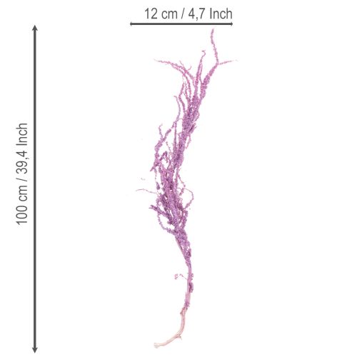 Artículo Flores secas de cola de zorro, teñidas, para decoración moderna del hogar, 100 cm, 5 piezas