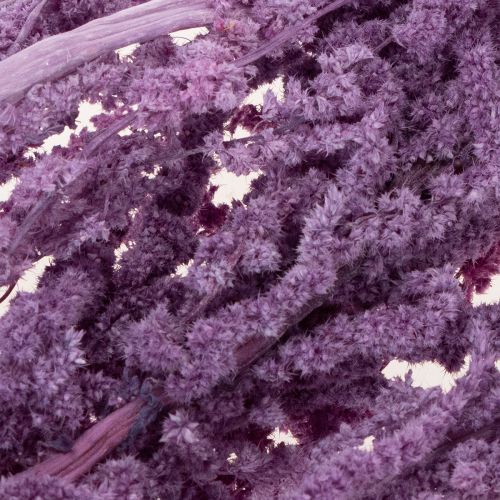 Artículo Flores secas de cola de zorro, teñidas, para decoración moderna del hogar, 100 cm, 5 piezas