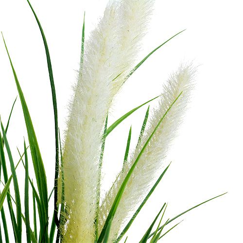 Floristik24 Hierba cola de zorra verde, blanco 63cm