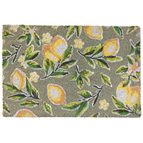 Floristik24 Felpudo limón coco alfombra felpudo coco 40×60cm