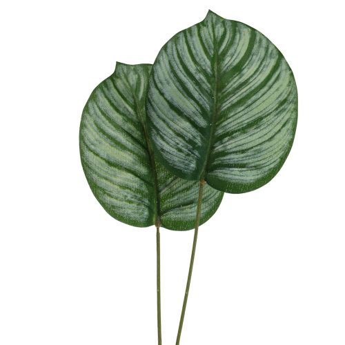 Artículo Calathea Cesta Artificial Marante Plantas Artificiales Verde 51cm