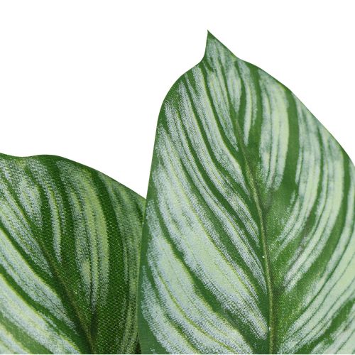 Artículo Calathea Cesta Artificial Marante Plantas Artificiales Verde 51cm