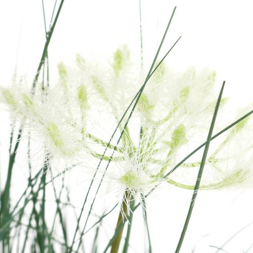 Floristik24 Junco Hierba Flor Artificial Flores artificiales en maceta 56cm