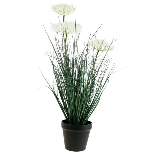 Floristik24 Junco Hierba Flor Artificial Flores artificiales en maceta 56cm