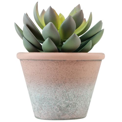 Planta suculenta en maceta Echeveria artificial verde vintage Ø15cm H16cm