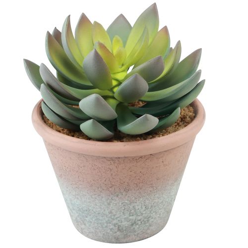 Artículo Planta suculenta en maceta Echeveria artificial verde vintage Ø15cm H16cm