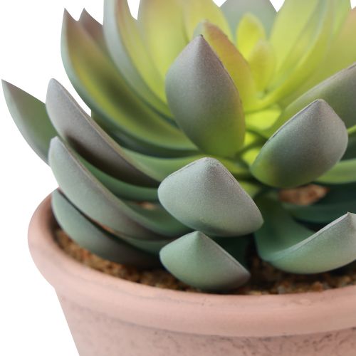 Artículo Planta suculenta en maceta Echeveria artificial verde vintage Ø15cm H16cm