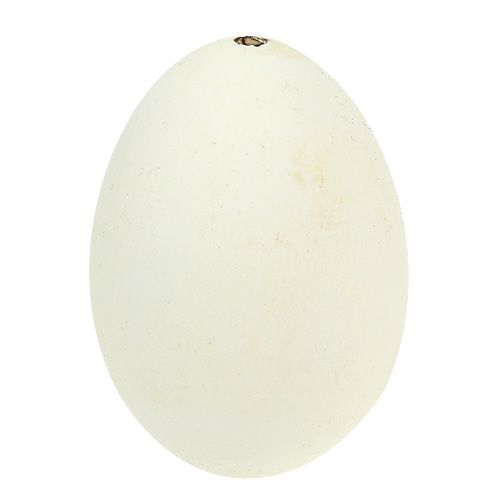 Floristik24 Huevos de ganso blanco 7cm - 8cm 6pcs