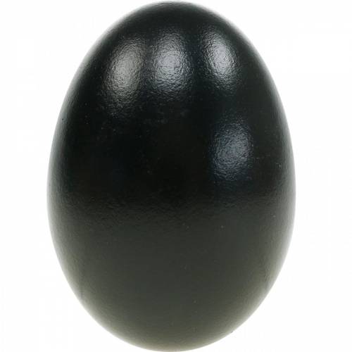 Artículo Huevos de ganso negros soplados, decoración de Pascua, 10 piezas