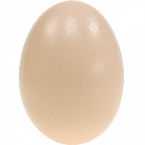 Floristik24 Huevos de Ganso Crema Huevos Soplados Decoración de Pascua 12 piezas