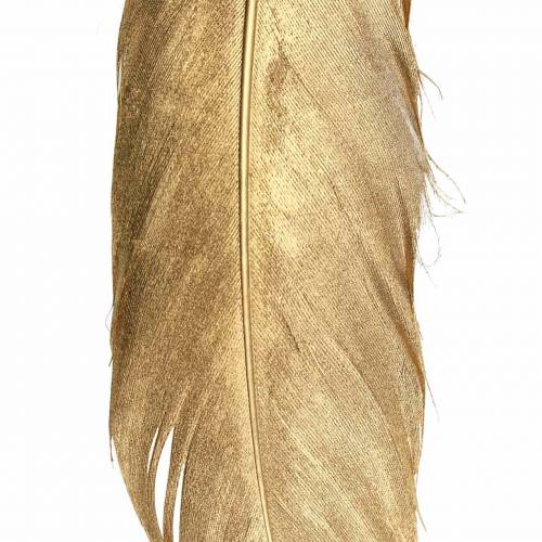Floristik24 Plumas doradas para manualidades 16-18cm 12uds