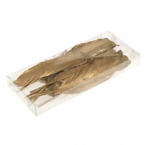 Floristik24 Plumas doradas para manualidades 16-18cm 12uds