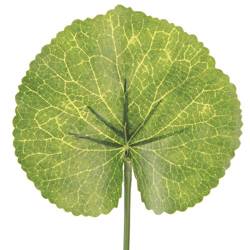 Artículo Hojas artificiales de Galax Urceolata verde Ø10cm L23cm 12 uds