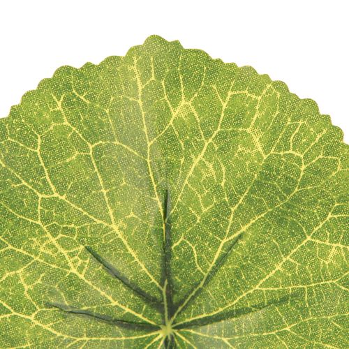 Artículo Hojas artificiales de Galax Urceolata verde Ø10cm L23cm 12 uds