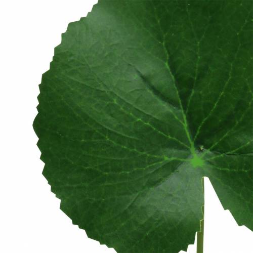 Floristik24 Hoja de bronce Galax verde artificial Ø9cm H30cm 12pcs