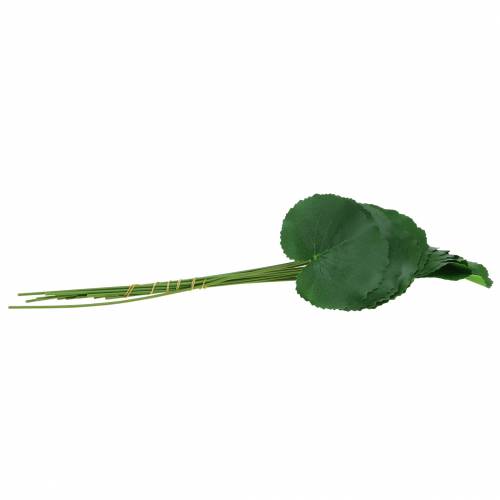 Floristik24 Hoja de bronce Galax verde artificial Ø9cm H30cm 12pcs