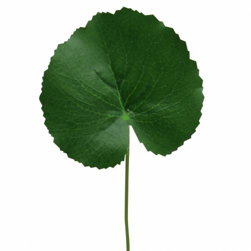 Floristik24 Hoja de bronce Galax verde artificial Ø9cm H30cm 12pcs