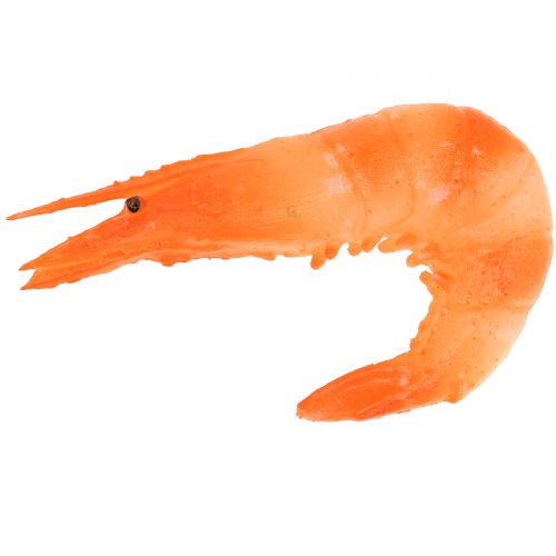 Floristik24 Camarones artificialmente 9cm 6pcs