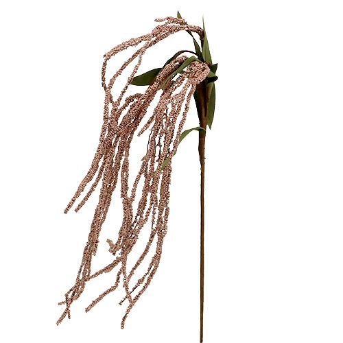 Floristik24 Cola de zorro de jardín 95cm