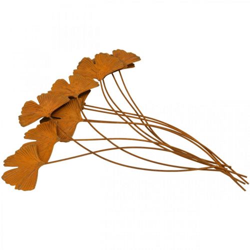 Floristik24 Estaca de jardín estaca de cama de hojas de ginkgo oxidado 7x5cm 6pcs