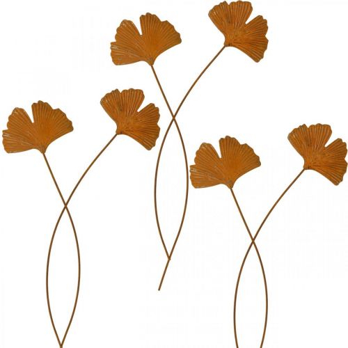 Artículo Estaca de jardín estaca de cama de hojas de ginkgo oxidado 7x5cm 6pcs