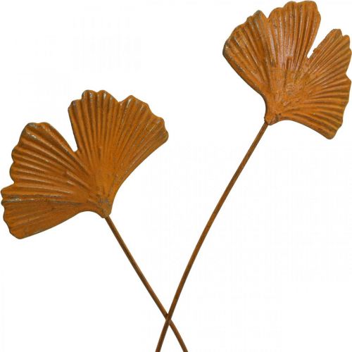 Artículo Estaca de jardín estaca de cama de hojas de ginkgo oxidado 7x5cm 6pcs