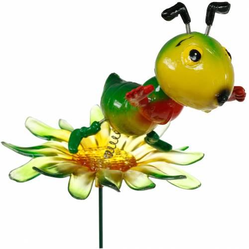 Floristik24 Estaca de Jardín Cricket en la Flor Colorida 11cm