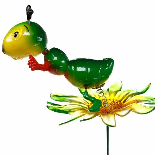Floristik24 Estaca de Jardín Cricket en la Flor Colorida 11cm