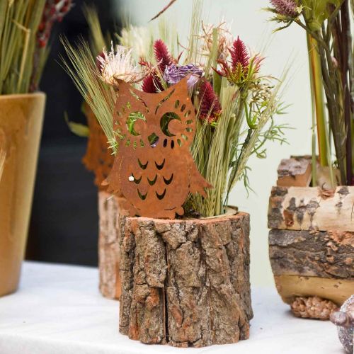 Floristik24 Estacas de jardín pátina de búho, otoño, decoración de metal Al. 32 cm 6 uds.
